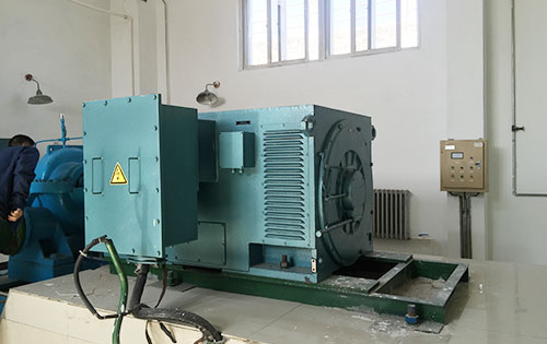 汨罗某水电站工程主水泵使用我公司高压电机报价